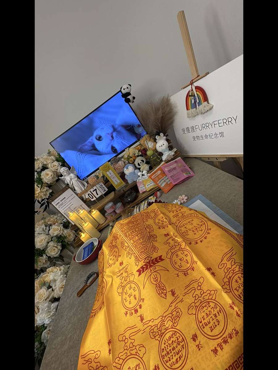 绵阳宠物单独火化